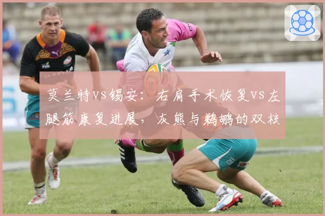 莫兰特vs锡安:右肩手术恢复vs左腿筋康复进展,灰熊与鹈鹕的双核回归谜题