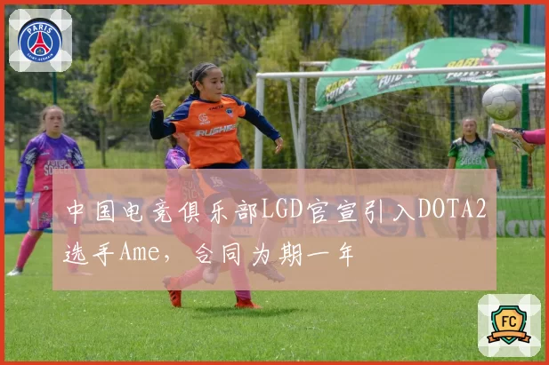 中国电竞俱乐部LGD官宣引入DOTA2选手Ame，合同为期一年